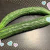 お化けきゅうり🥒