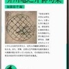 鑑賞の文学―俳句編（41）―