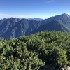 登るにつれて山の頂が少しずつ顔を覗かせる　【仙丈ヶ岳】その１