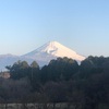 今朝の景色