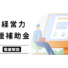 【2024年】新宿区の経営力強化支援補助金のポイントを徹底解説！