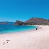 Komodo island ①