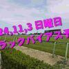 2024,11,3 日曜日 トラックバイアス予想 (東京競馬場　京都競馬場　福島競馬場)