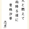 火と燃えて雨降る道に曼珠沙華