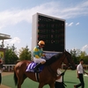 札幌競馬の思い出～2017夏