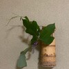 長板の茶事の忘備録