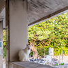 八重山諸島のねこさん