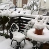 雪の朝