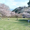 百花繚乱★コロナ禍の花見は立ったままで