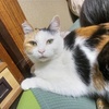 何も手に着かないから検索してた。