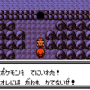 ポケットモンスター銀【ちょっと虫とり少年になってチャンピオンなってくるわ】17