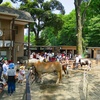 代々木上原賃貸物件 毎日速報！6/17(火)