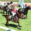 競馬初心者必見☆馬券予想🔥〜アイビスSD〜リピーターには要注意！？