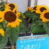 2022年6月22日水曜日・介護していると学びの多さに驚く～♪