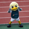 2024年10月6日　SC相模原vsギラヴァンツ北九州　＠相模原ギオンスタジアム
