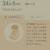 あと36日　(on 34w6d)