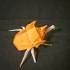 おりがみ：エレファスゾウカブト (Origami : Elephant beetle)