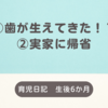 育児日記　生後6か月　①歯が生えてきた！？②実家に帰省