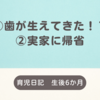 生後6か月　①歯が生えてきた！？②実家に帰省