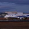 着陸してきた ANA「心をひとつに!! 行こう2020」｜夕暮れ時