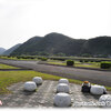 交通公園清掃報告「ツバメたちの季節」/ Traffic Park Cleaning Report "Swallows' Season"