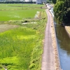 地元、茨城県産のお米が美味しいことに気が付いた！