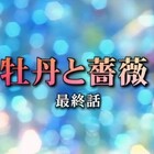 昼ドラ『牡丹と薔薇』が最終回でした - 退屈な日々 / Der graue