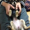 まろにー164日目