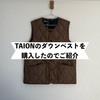 【TAIONタイオン】TAIONのミリタリーインナーダウンを変な時期に購入