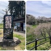 2026年4月19日🐾 今日のマヤ暦