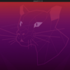 RaspberryPi + Ubuntu20.04LTS + Desktop