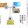 果報は寝て待ての意味。。