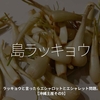 1548食目「島ラッキョウ」ラッキョウと言ったらエシャロットとエシャレット問題。【沖縄土産その9】
