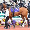 現在の馬場傾向＋前走時以上のメンバー構成は厳しいところですが、脚元の不安が解消し、追い切りでは前走時以上に躍動感ある動き。更に力を付けた印象がありますし、今年の日本ダービーを７枠１３番で制した鞍上の手腕＋運に期待。実績馬に臆することなく立ち向かっていって欲しい。☆アリーヴォ