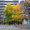 高崎駅前散歩　今朝は４℃・冬の雲・街中の紅葉＆黄葉