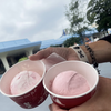 ダブルが無くなった！　ディズニーランドのアイスクリームコーン
