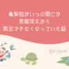 亀梨担がいつの間にか宮舘涼太から脱出できなくなっていた話