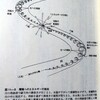 「エネルギーの大砲」　川の蛇行とトラウトタービン