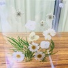 【誰でも出来る】100均の材料でお花が浮いて見えるフローティングフレームを作って見た。