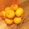 北海道から九州へ帰って一番にしたこと