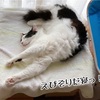 暑い日は部屋の中で