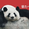 パンダ銭湯の世界観にびっくり！Eテレで流れた『てれび絵本』を観て想像しちゃったどうぶつえんの真実