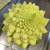 フラクタルな野菜