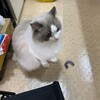 朝の猛烈ハイテンション