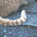 ながいものにまかれる