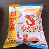 菓子パンを食べてる時の罪悪感よ。