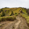 2024-04-26 大川入山