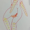 『HandleladyBottomMaster(゜◇゜)⤴』20180927〜