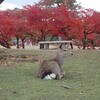 神の約束の実現を思う季節