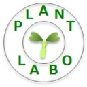 PLANT LABO.